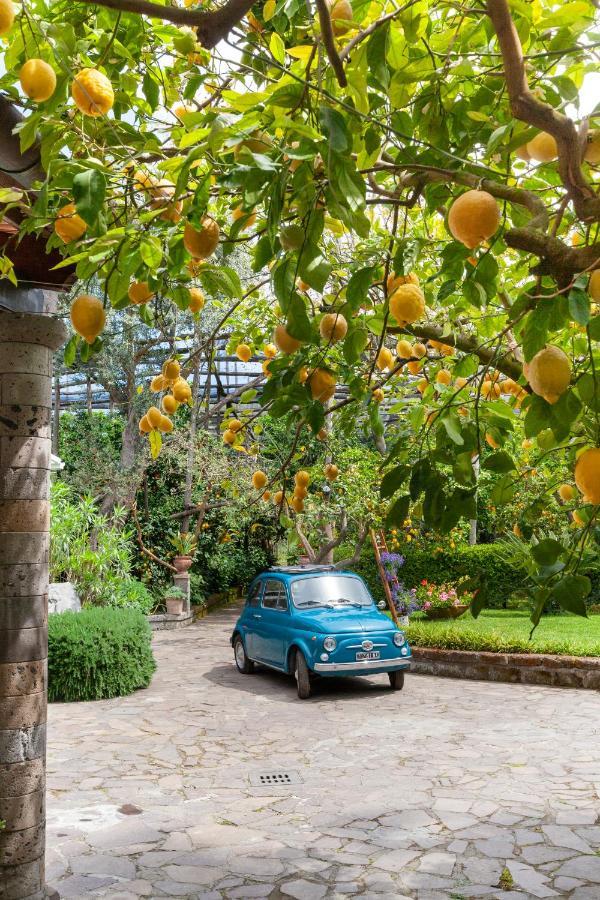Villa Maresca B&B Piano di Sorrento Eksteriør billede